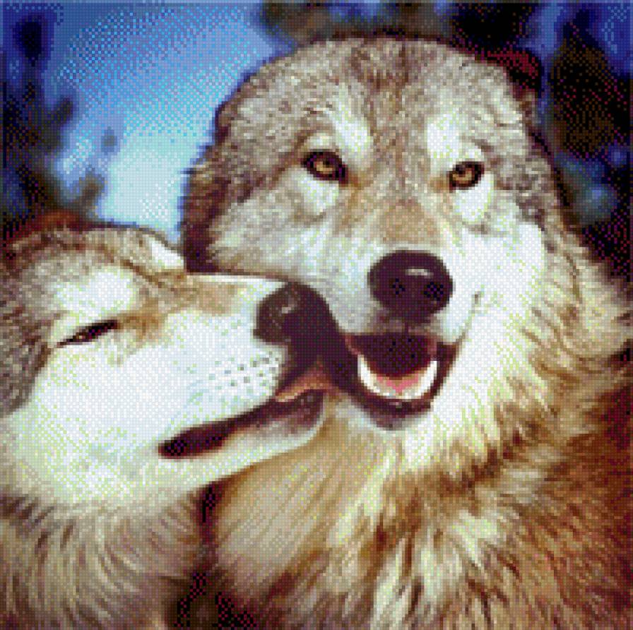 Волчья пара - волки - предпросмотр