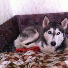 Схема вышивки «№592046»