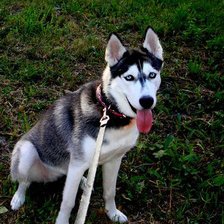 Схема вышивки «№592062»