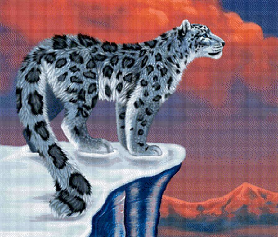 Снежный барс - снежный барс, животные - предпросмотр