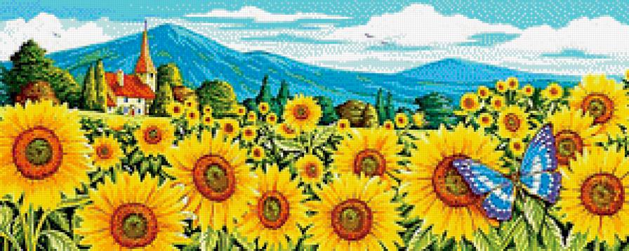 Подсолнухи - бабочка, цветы, пейзаж, подсолнухи - предпросмотр