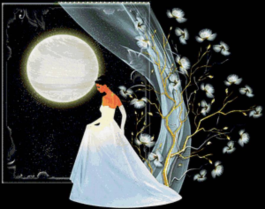 Невеста - невеста, луна, цветы, свадьба, девушка, окно - предпросмотр