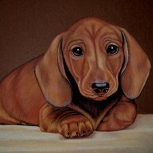 Схема вышивки «такса»