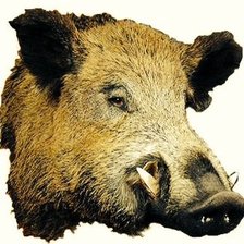 Схема вышивки «№592226»