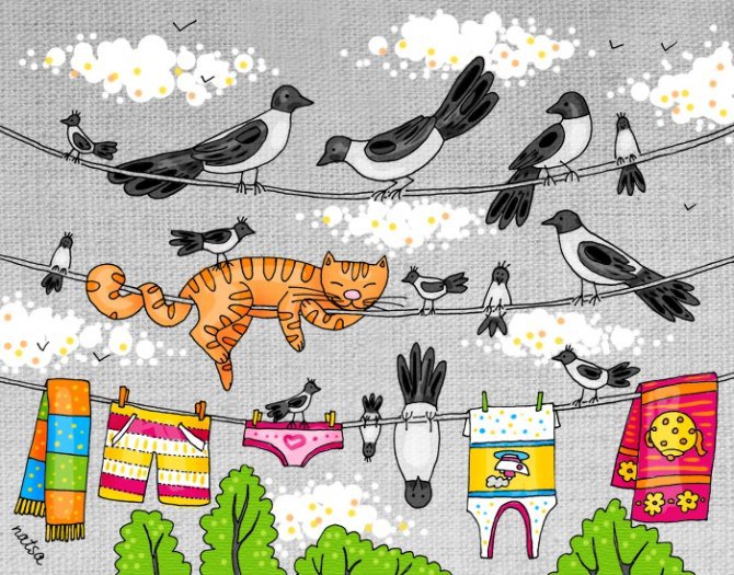 Смех - птицы, смех, кошка - оригинал