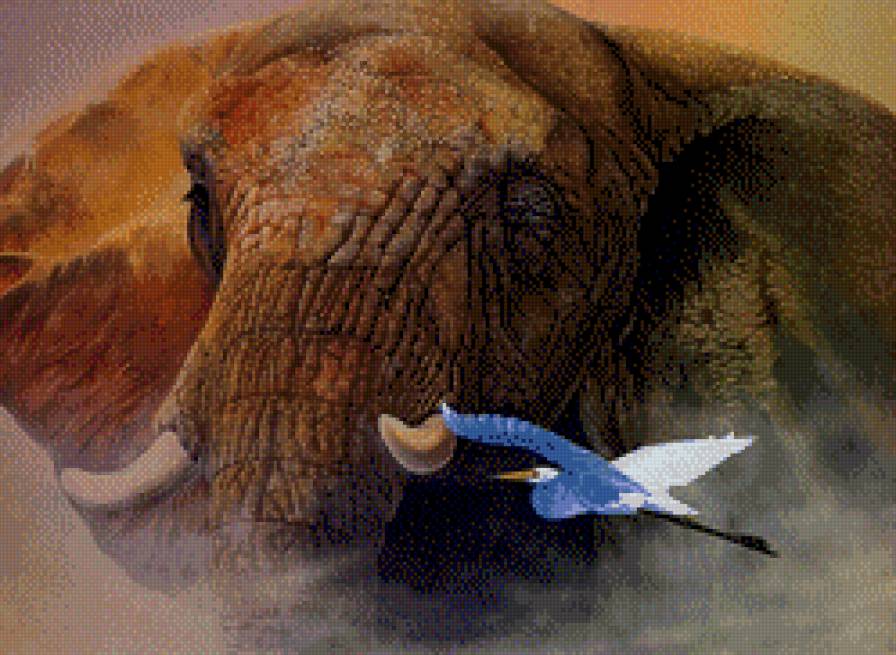 слон и цапля - предпросмотр