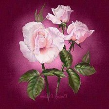 Схема вышивки «68»