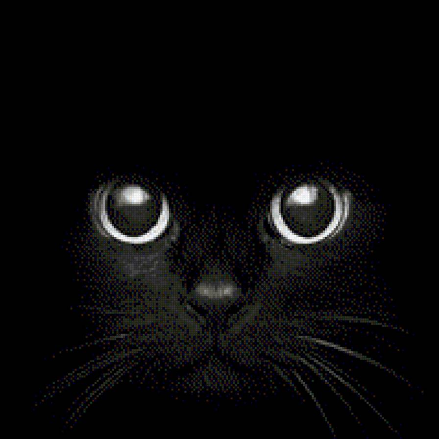 кот ночью - кот, ночь - предпросмотр