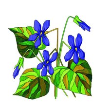 Схема вышивки «Фиалки»