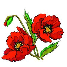 Схема вышивки «Маки»