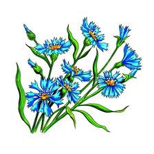 Схема вышивки «Васильки»