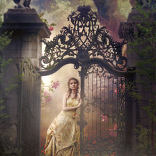 Схема вышивки «тайный сад»