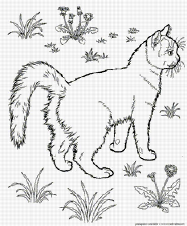 Кот в одуванчиках - животные, контурная, коты, монохром - предпросмотр