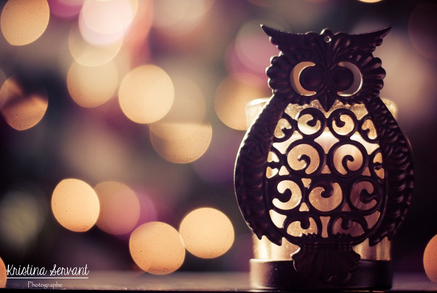 Сова - птицы, животные - оригинал