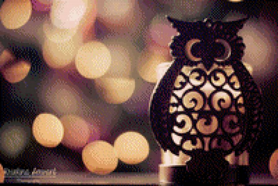 Сова - животные, птицы - предпросмотр