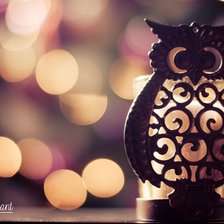 Схема вышивки «Сова»