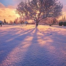 Схема вышивки «зима»