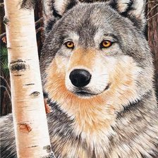 Схема вышивки «№593211»