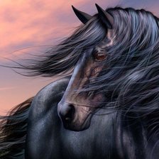 Схема вышивки «мустанг»