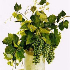 Схема вышивки «№593436»