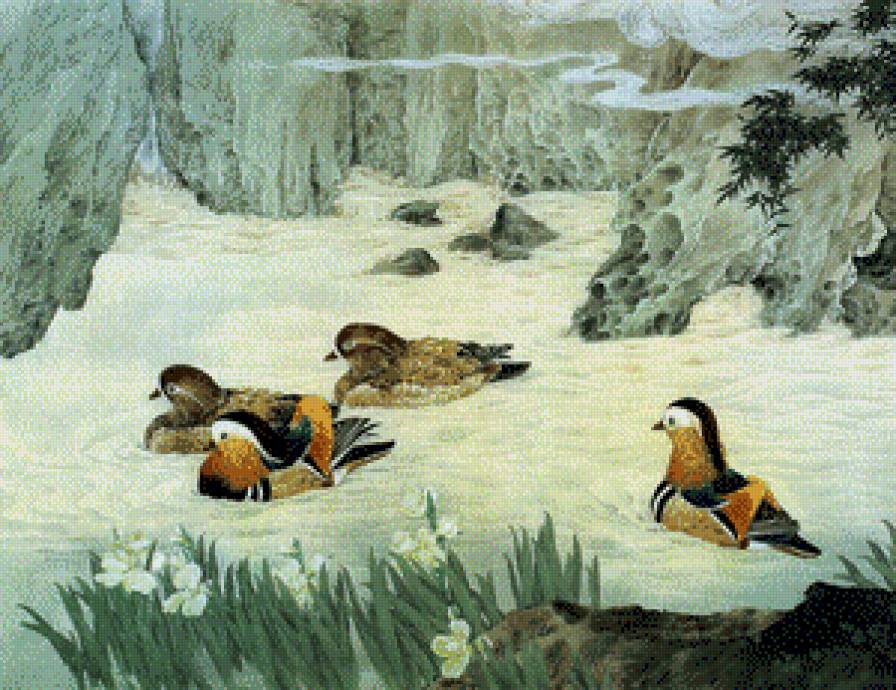 Мандаринки - картина, птицы, живопись, утка - предпросмотр