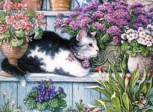 лапушка - котики - оригинал