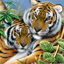 Схема вышивки «симейный портрет»