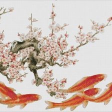 сакура и карпы