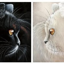 Схема вышивки «Коты»