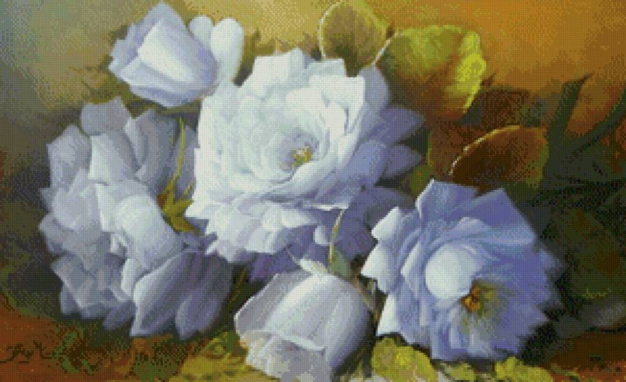 Белые розы - цветы, розы, белые цветы - предпросмотр