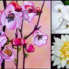 Схема вышивки «Триптих "Цветы"»