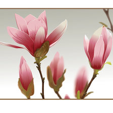 Схема вышивки «магнолия»