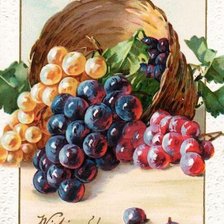 Схема вышивки «Натюрморт»