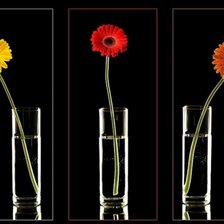 Схема вышивки «цветы»