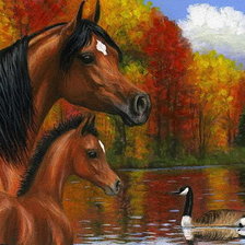 Схема вышивки «картина»