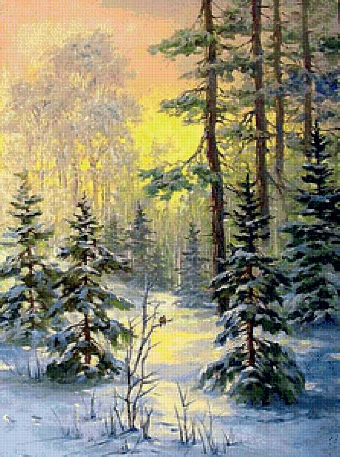 Зимний лес - лес, зима, день, пейзаж, солнце - предпросмотр