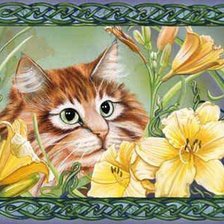 Схема вышивки «кошачий портрет»