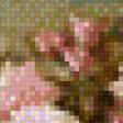 Предпросмотр схемы вышивки «№594018»