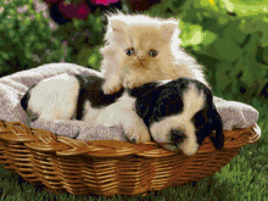 Песик и котик - котенок, щенок - предпросмотр