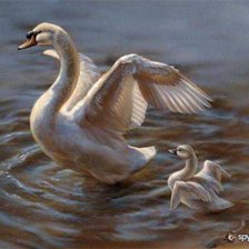 Схема вышивки «лебединое счастье»