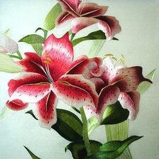 Схема вышивки «Красота»