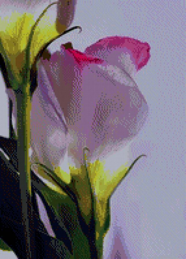 цветок - цветок, весна - предпросмотр