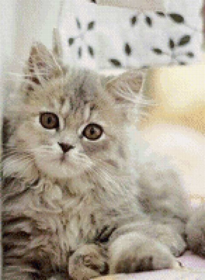 котёнок - натюрморт, жтвопись, , кот, котенок, кошка - предпросмотр