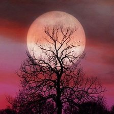 Схема вышивки «луна»