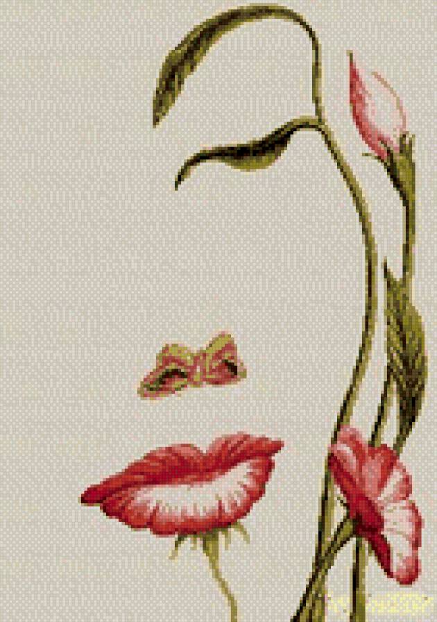 лицо - предпросмотр