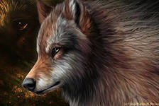 Схема вышивки «Волк»