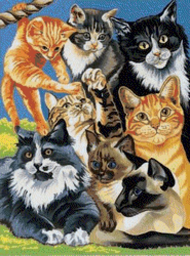 Кошки - животные, котенок, кошка - предпросмотр