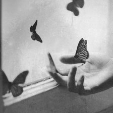 Схема вышивки «Бабочки»