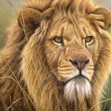 Схема вышивки «№594363»