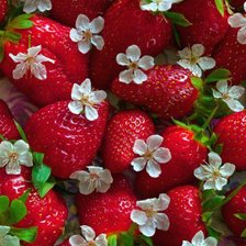 Схема вышивки «ягоды»